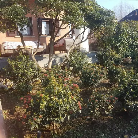 Giò *